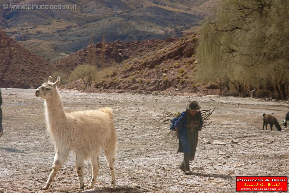 BOLIVIA 2 - Cordillera de Los Frailes - 06.jpg